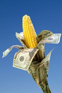 Farm Bill Corn Money