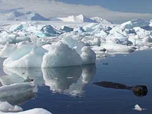 warming global climate ice caps